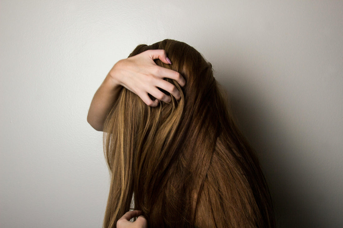 Renew your hair with WellUp: complete routine to repair, strengthen and protect.