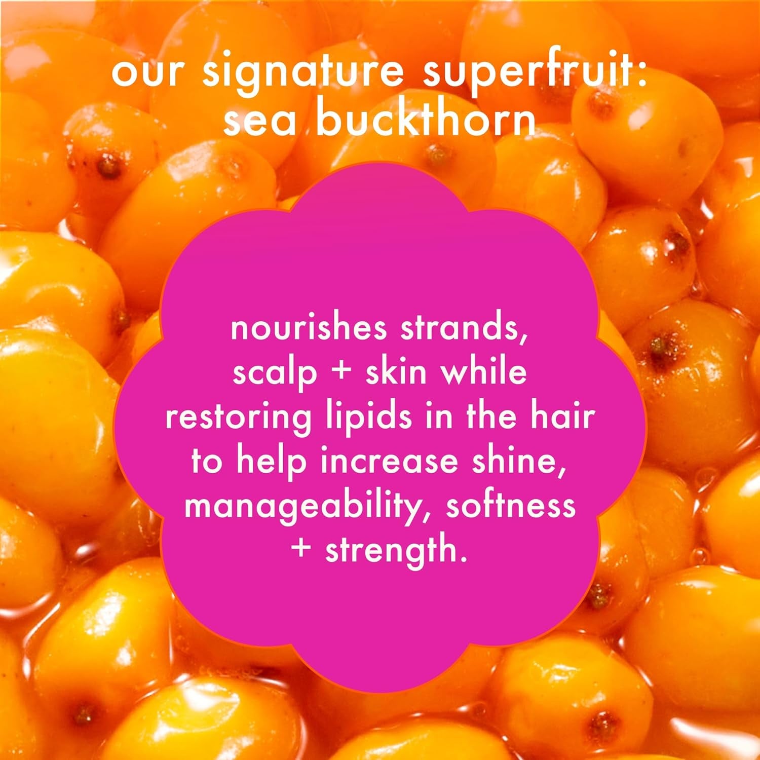 Normcore Signature Conditioner