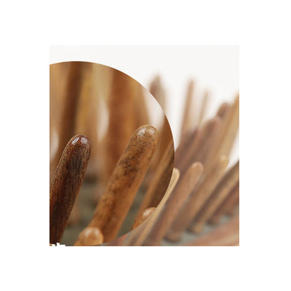 Revitalize Your Scalp with Every Stroke